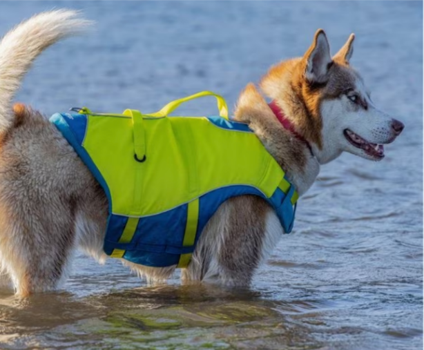 large dog life jacket