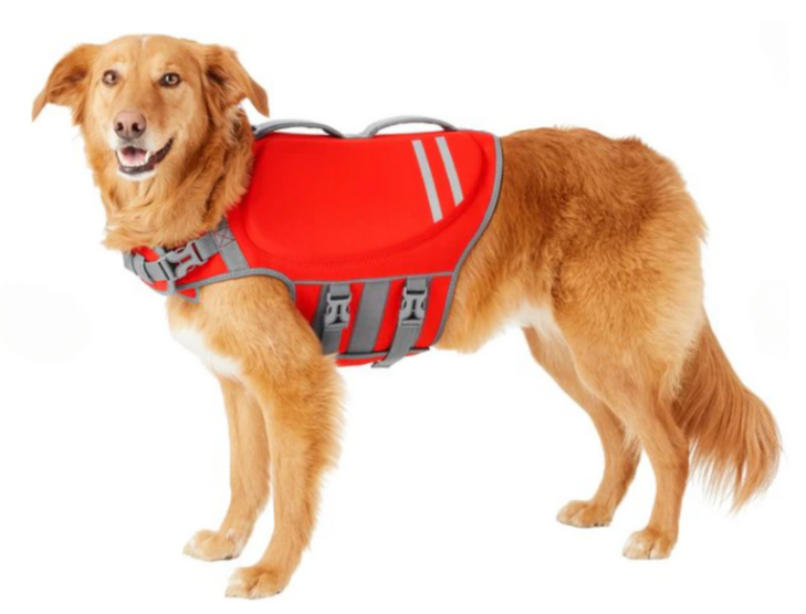 large dog life jacket with large dog wearing it