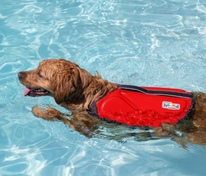 large dog life jacket