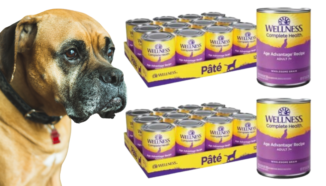 senior dog with cans of Wellness senior canned dog food