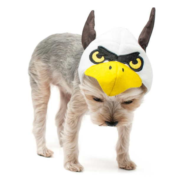 owl dog hat