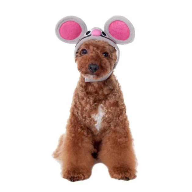 mouse dog hat