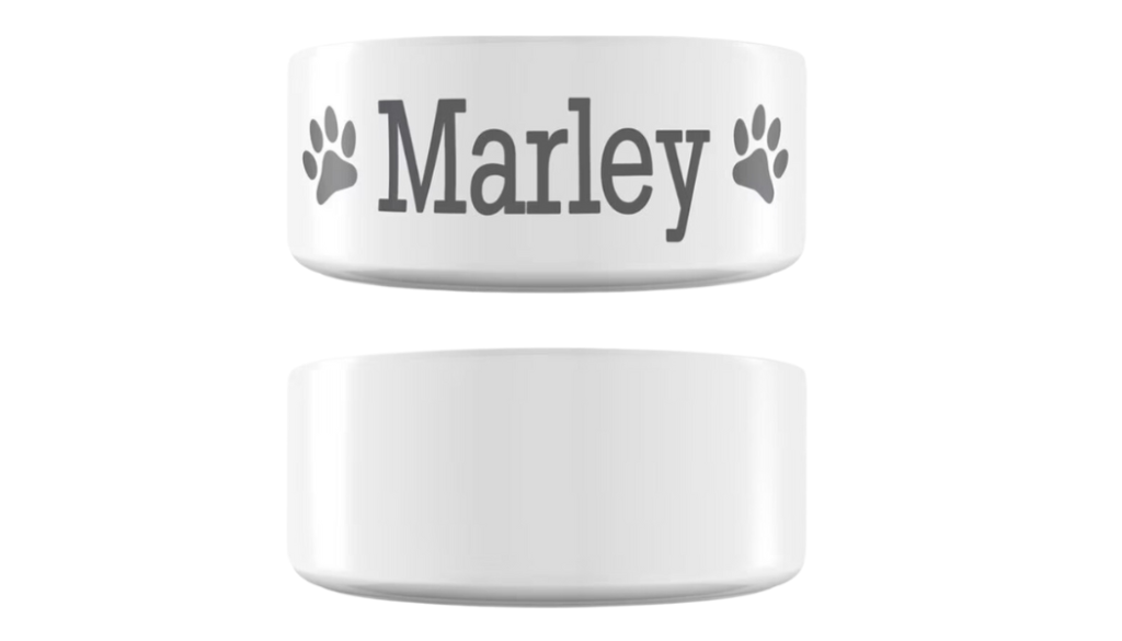 dog food bowls