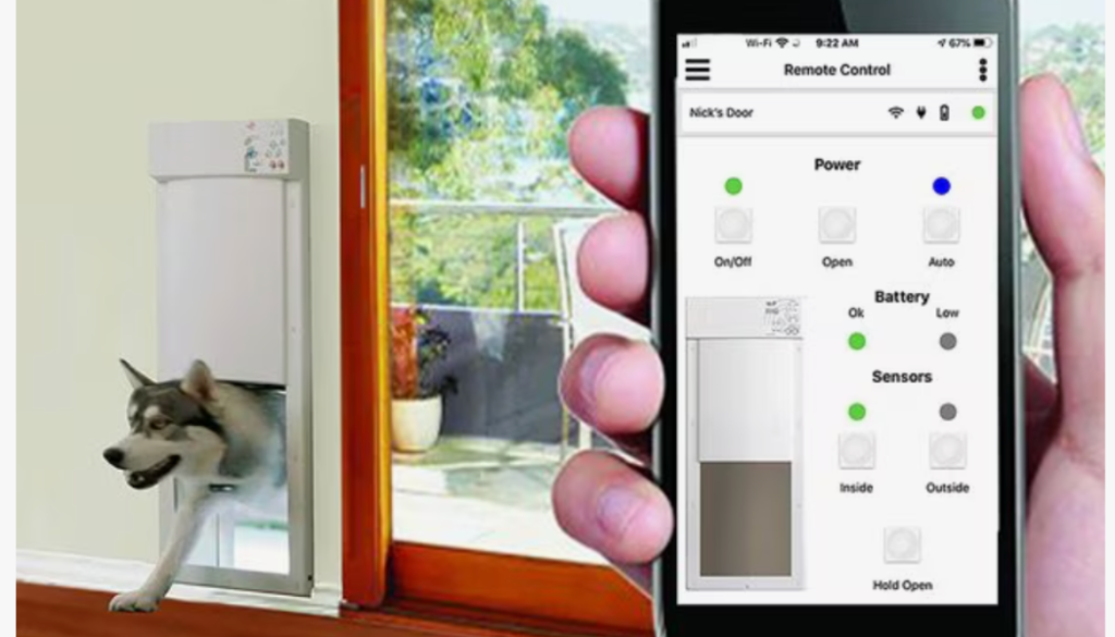 Automatic Dog Doors
