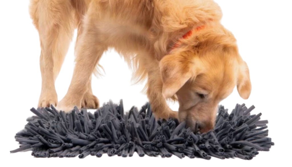 PAW5 Wooly Snuffle Mat:
