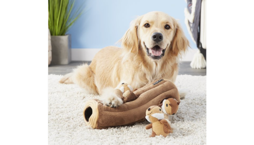 Brain games for dogs