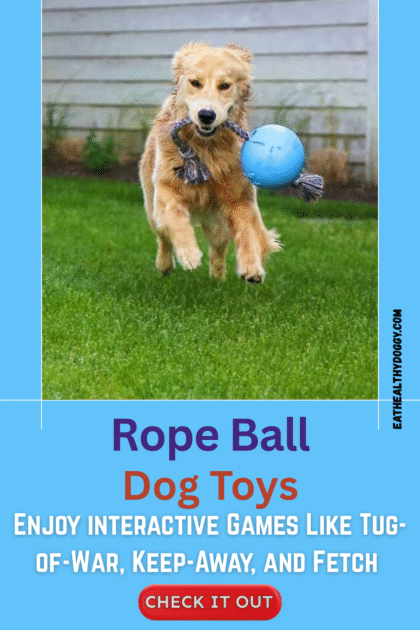 rope ball dog toys