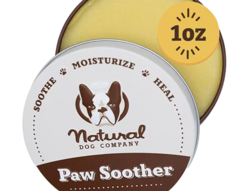 dog paw balm
