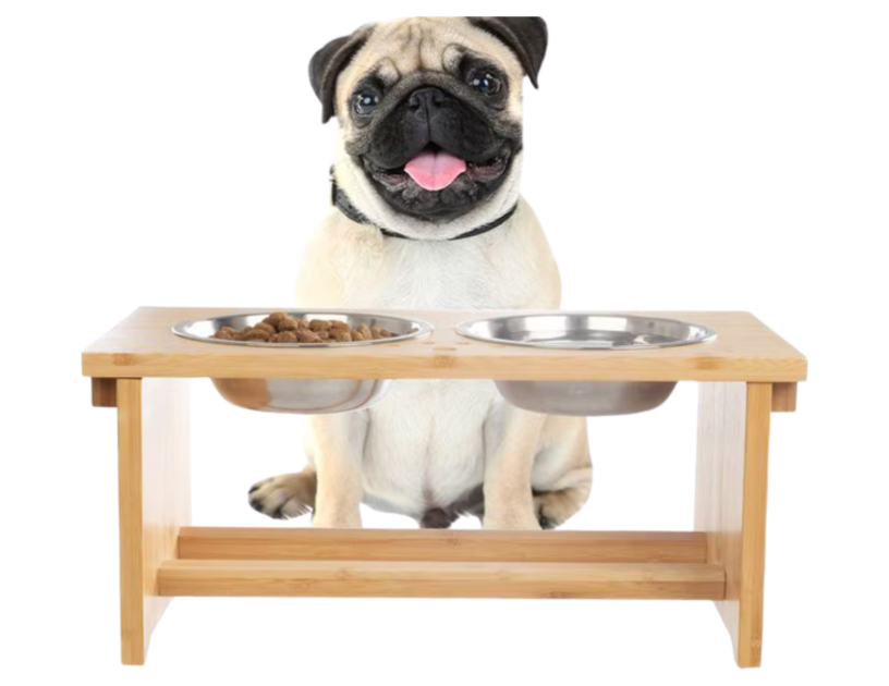 Dog Elevated Bowls