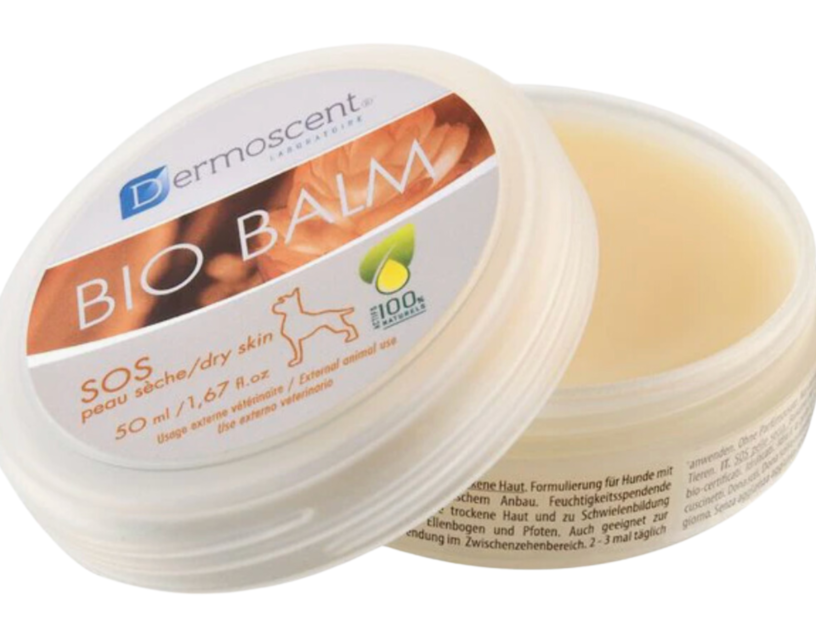 best dog paw balm