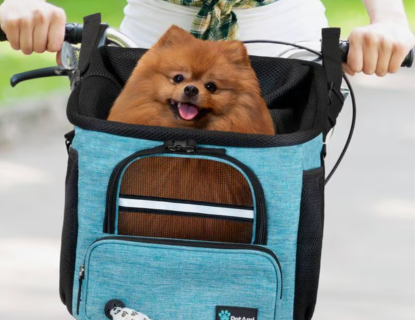 pet bike carrier