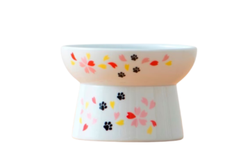 Elevated Ceramic Dog Bowls
