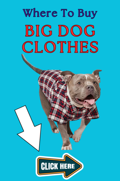 big dog clothes