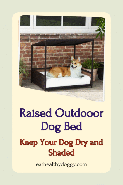 dog laying on an outdoor dog bed
