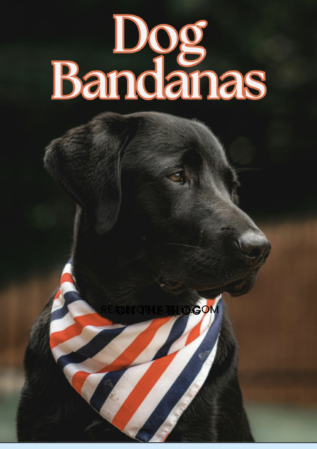 Dog Banana