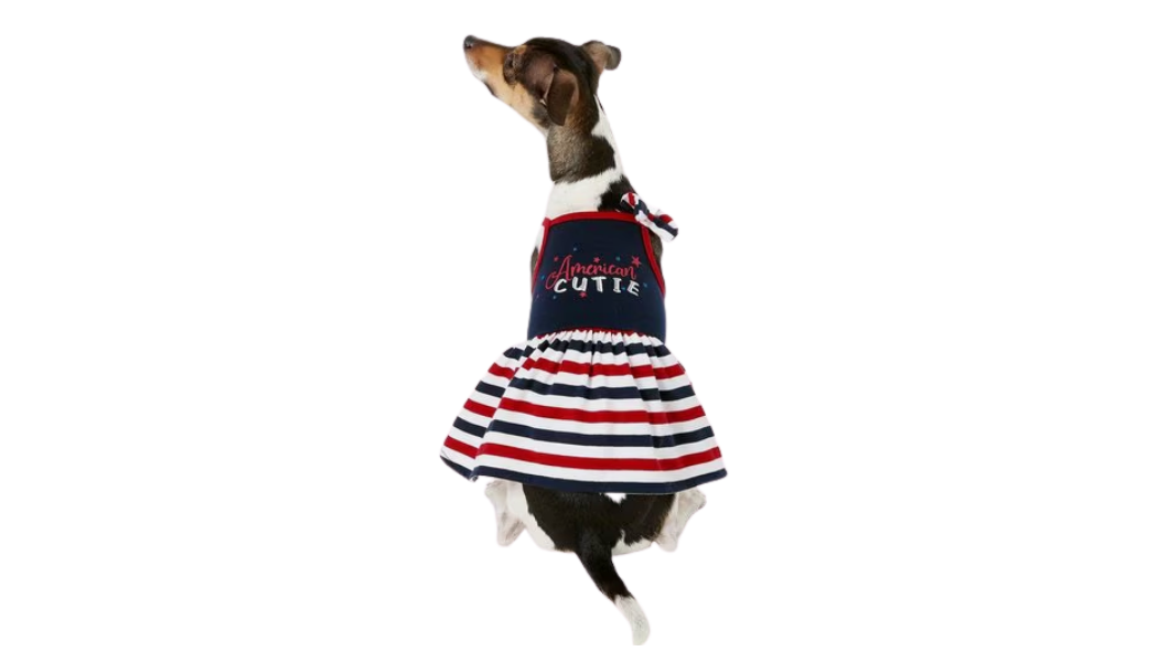 dog dress