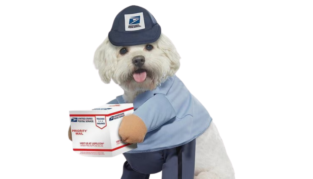 dog costumes