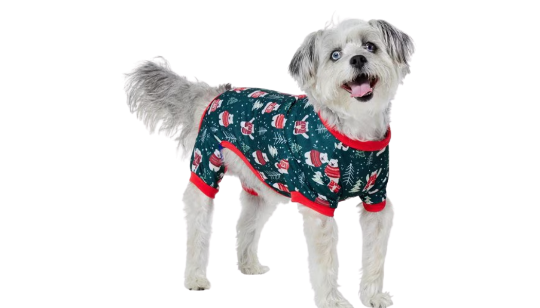 dog pjs