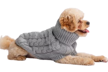 dog sweater