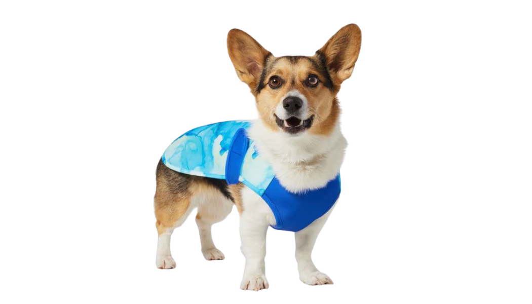 dog cooling vest