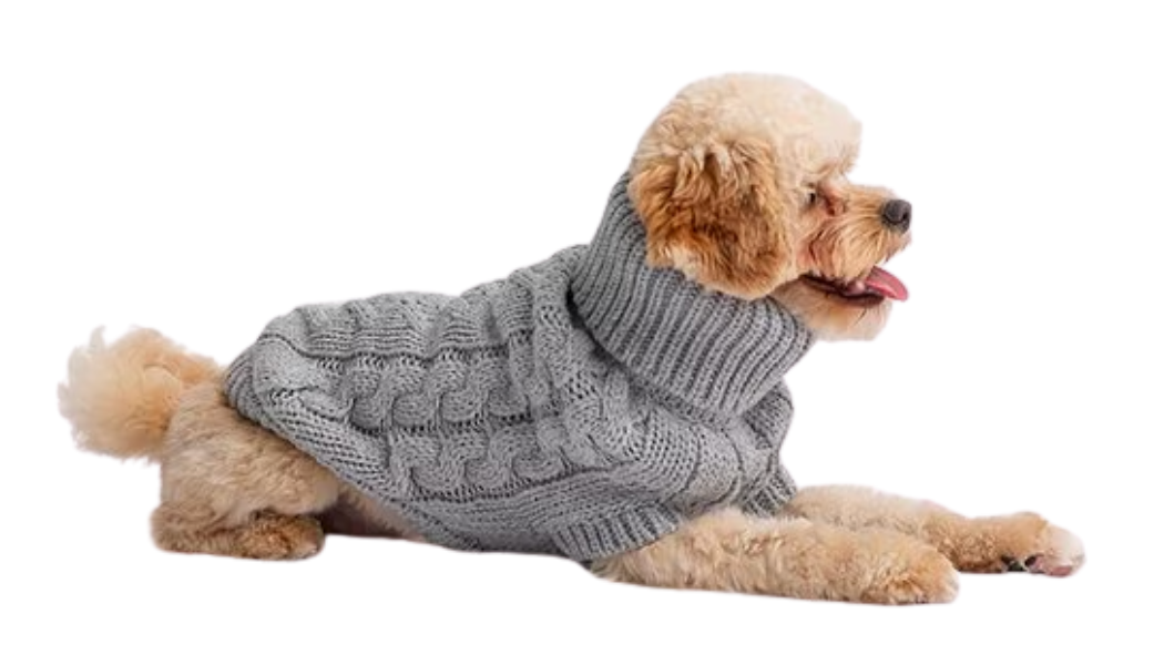 dog sweater