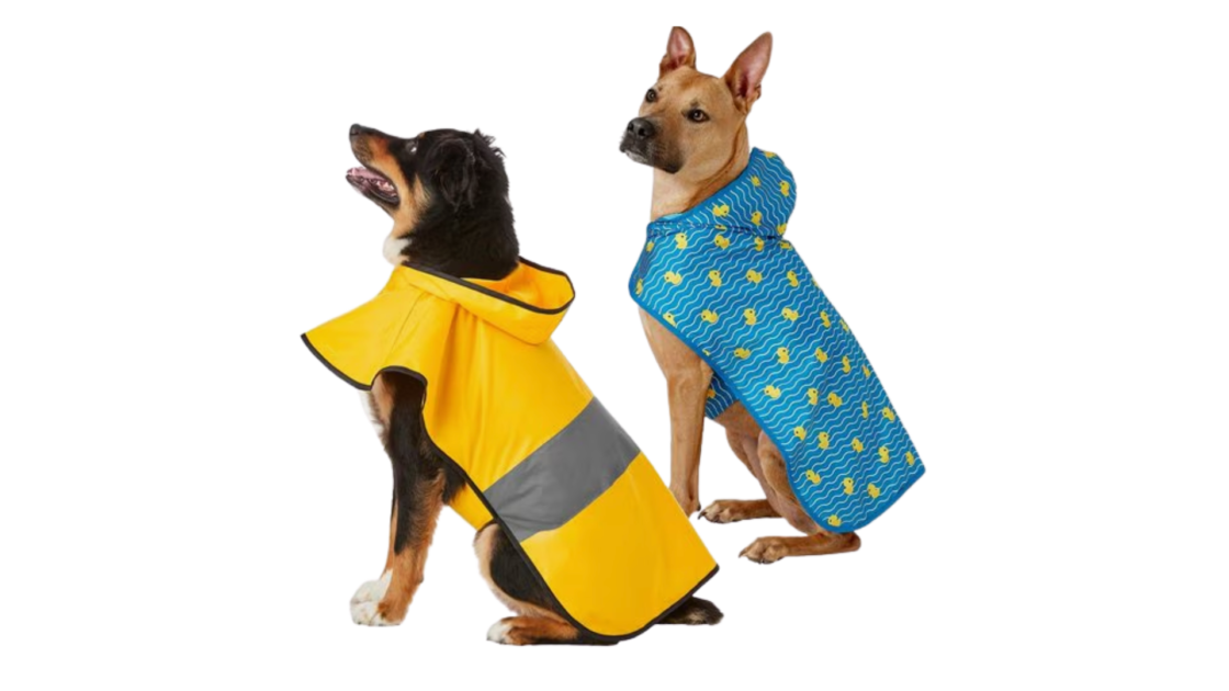 pet accessories