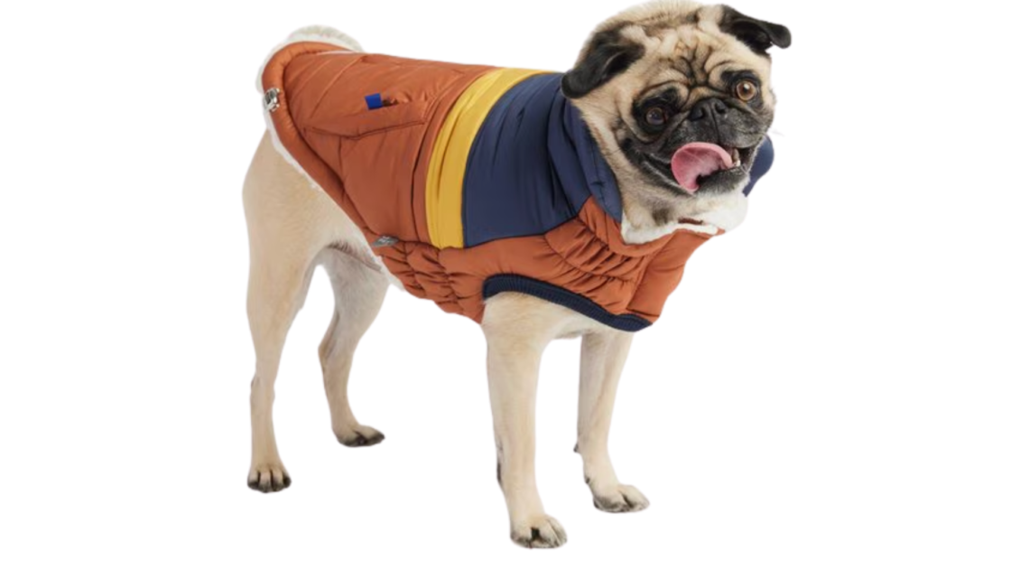 Dog Clothes