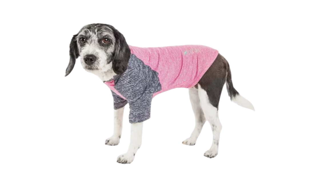 dog t-shirt