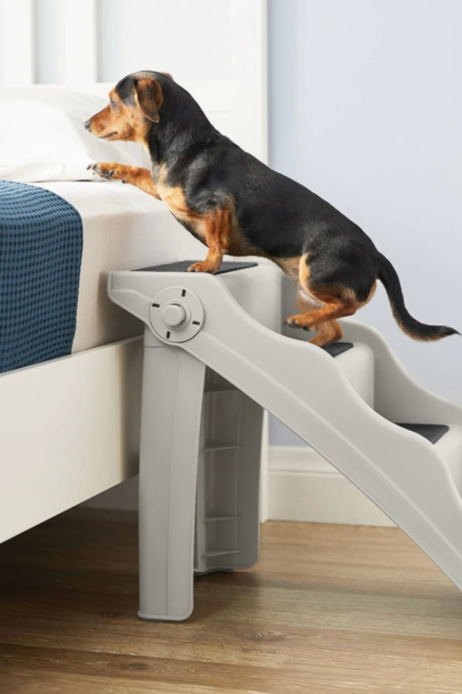 dog bed stairs