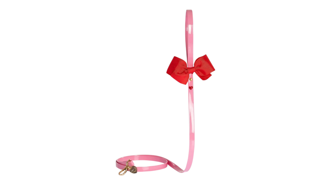 dog leash