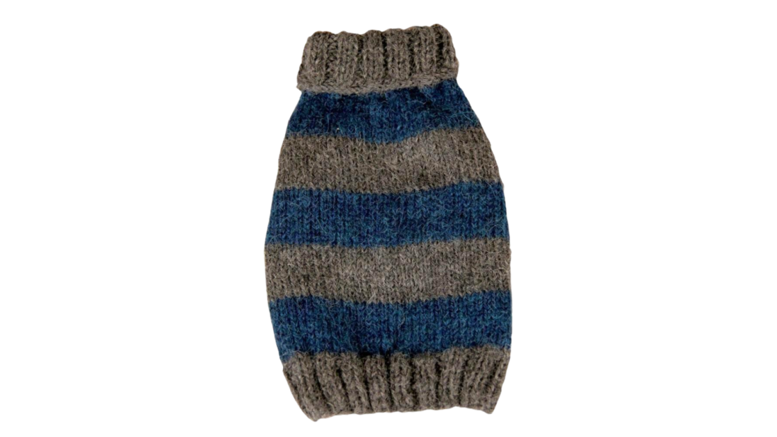 dog apparel