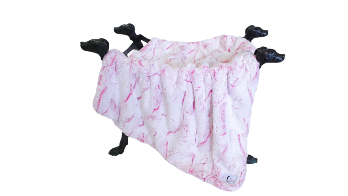 dog blanket