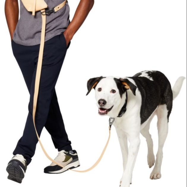 hands free dog leash