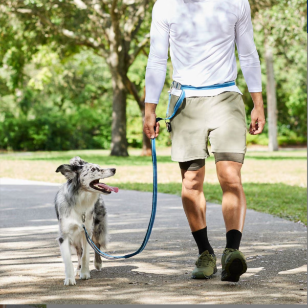 hands-free dog leash