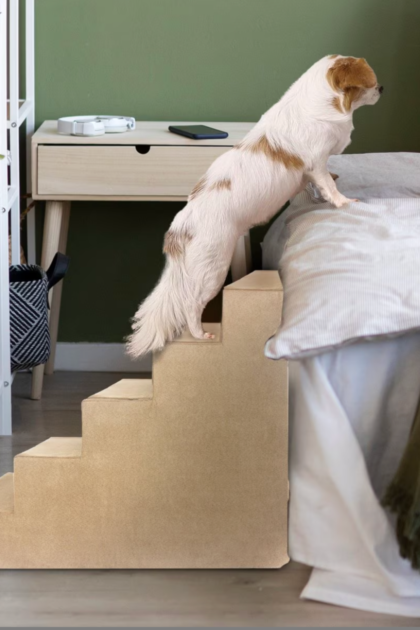 dog stairs for bed