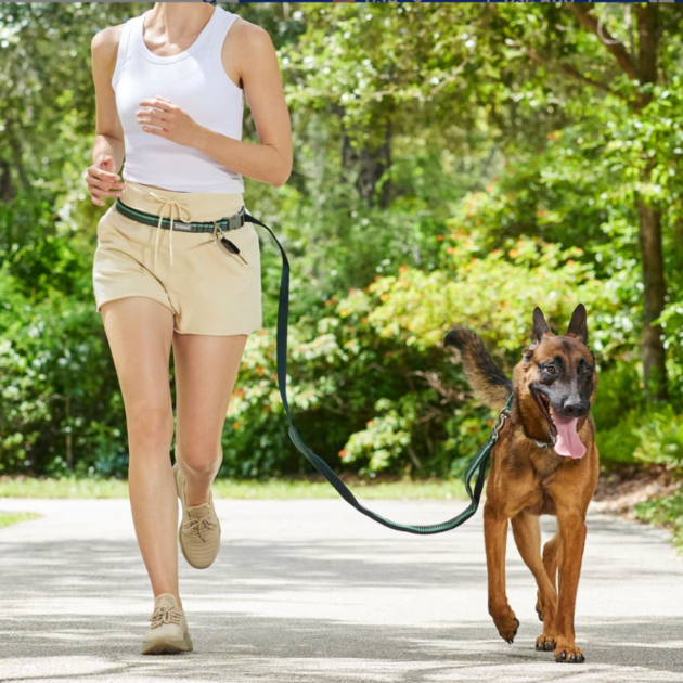 dog leash