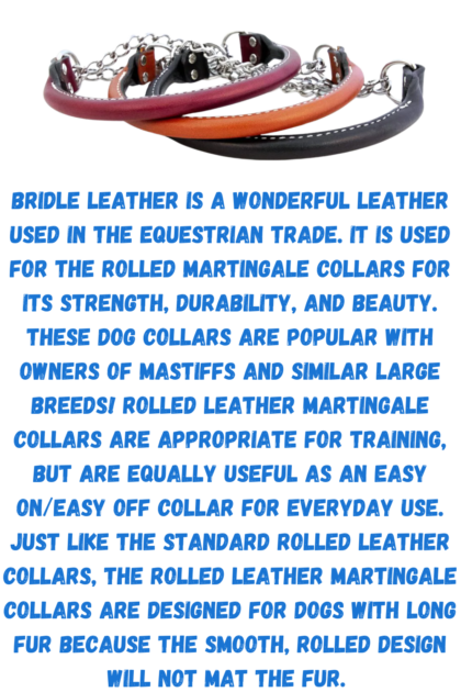 martingale leather dog collar