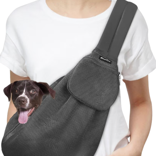 dog carrier sling with small dog sticking its head out