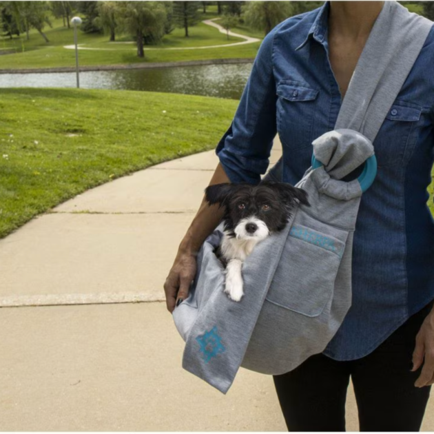 woman walking dog with a dog carrier sling