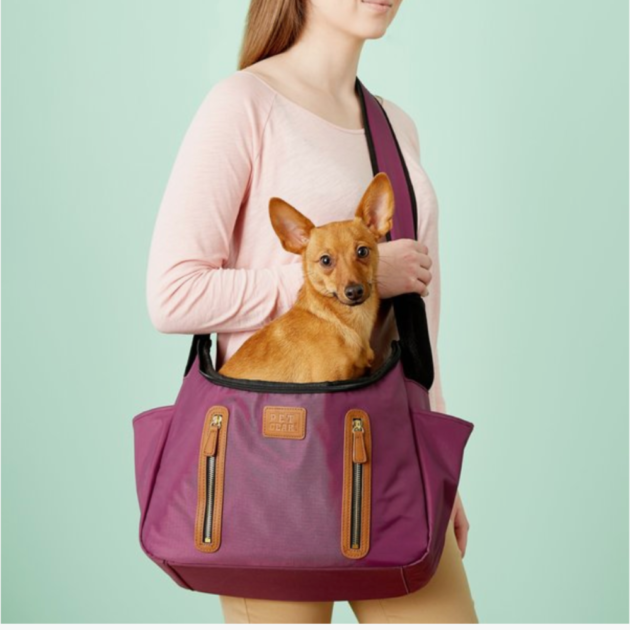 woman carrying a dog in a dog sling carrier