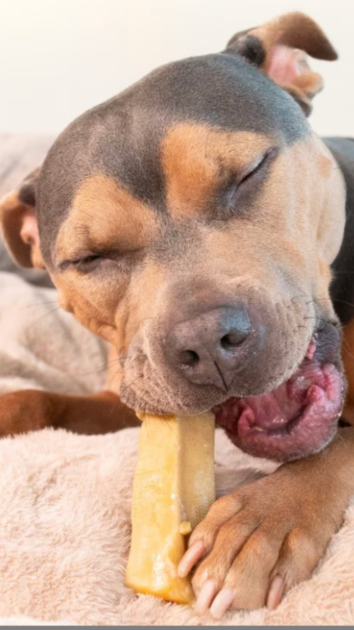 edible dog chew treat