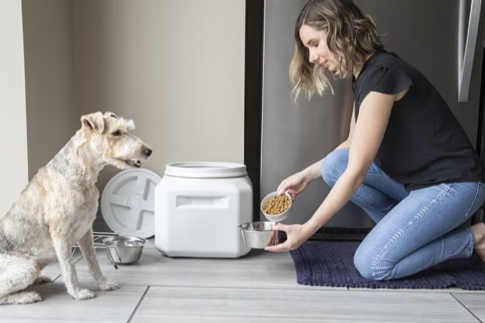 Dog Food Storage 