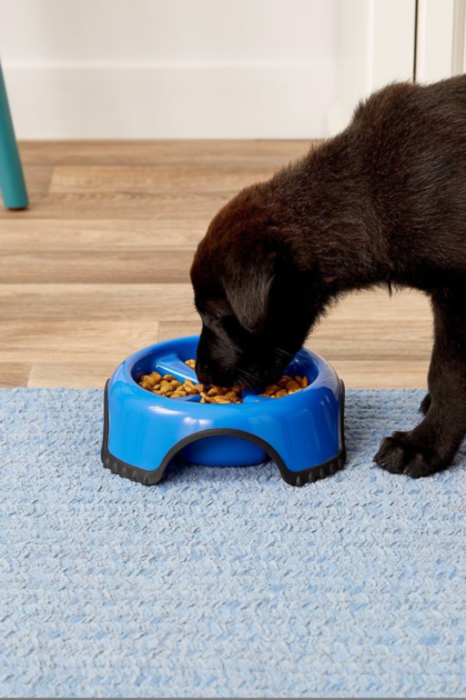 Small slow feeder dog bowl 