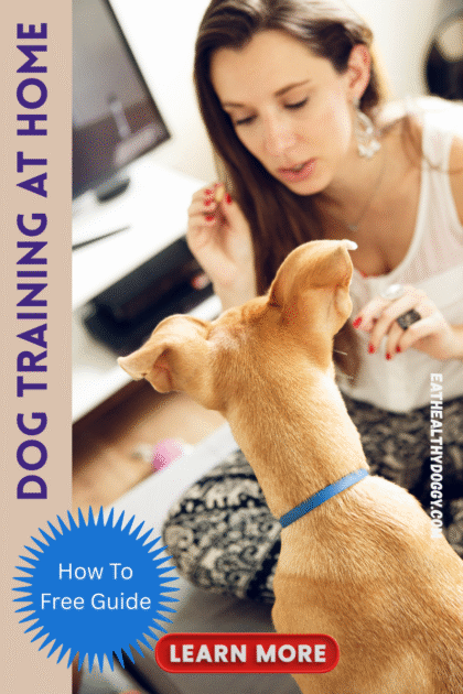 woman dog training her dog at home with a dog treat