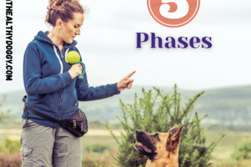 woman training her dog outside