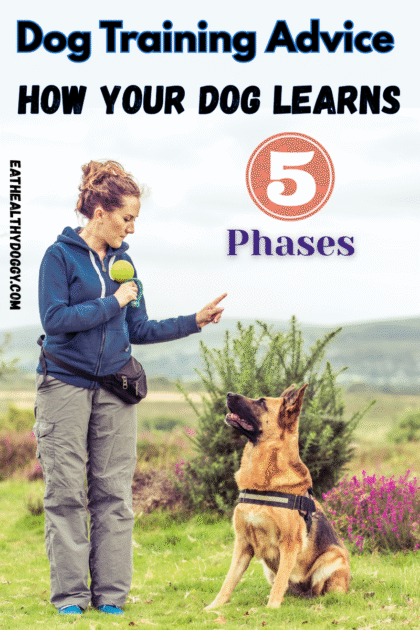 woman training her dog outside