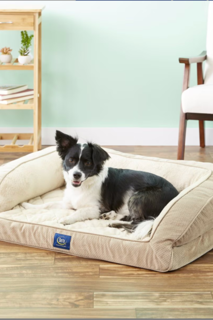 dog laying on an orthopedic dog bed