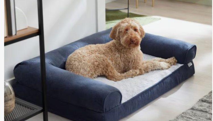 dog laying in an orthopedic dog bed