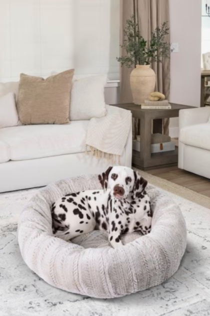 dog laying on a donut dog bed