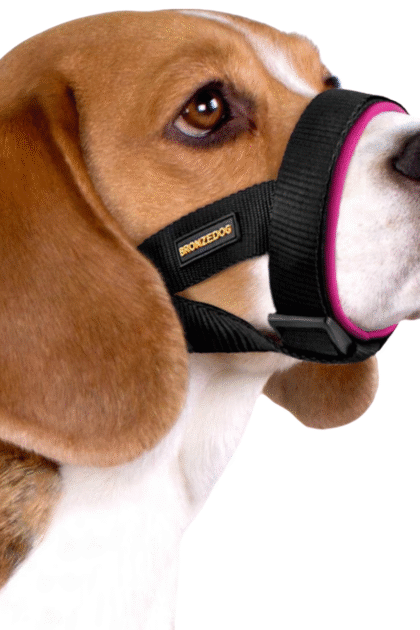 soft dog muzzle